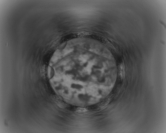 X0000091650519200709131453