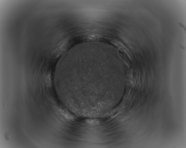 X0000091650520200709131453