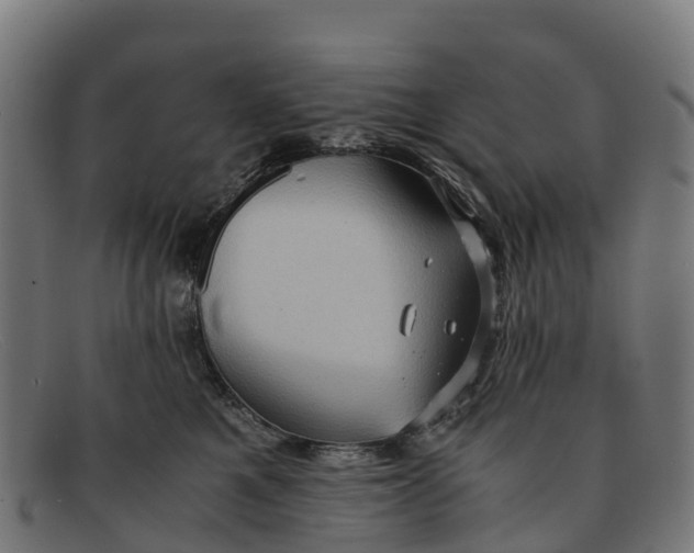 X0000091650521200709131453