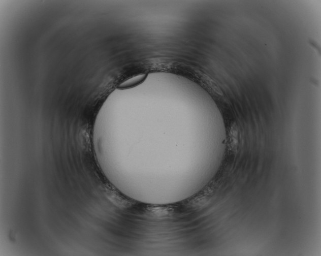 X0000091650522200709131453