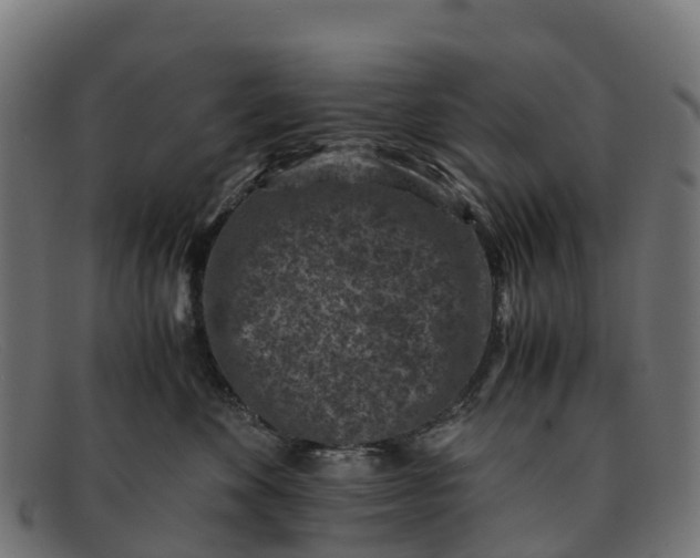 X0000091650524200709131453