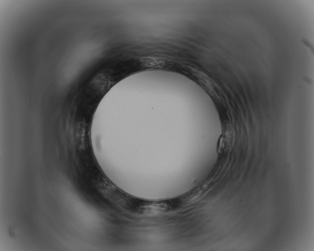 X0000091650525200709131453