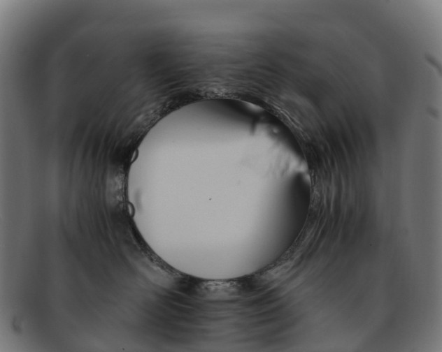 X0000091650526200709131453