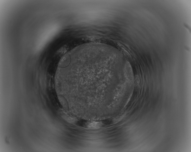 X0000091650527200709131453