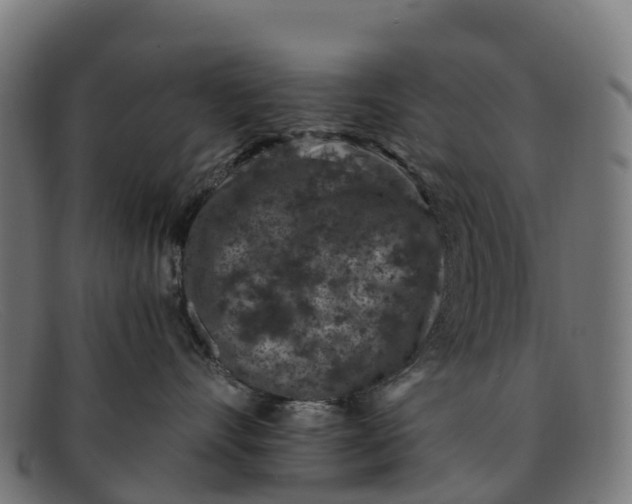 X0000091650528200709131453