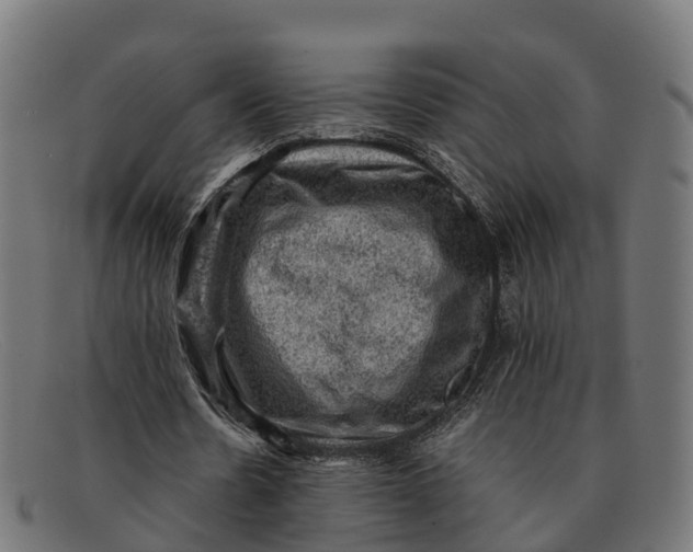 X0000091650530200709131452