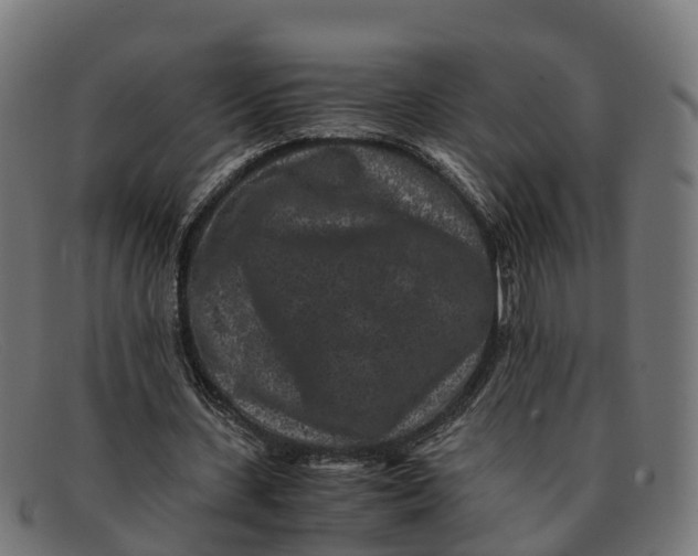 X0000091650531200709131452