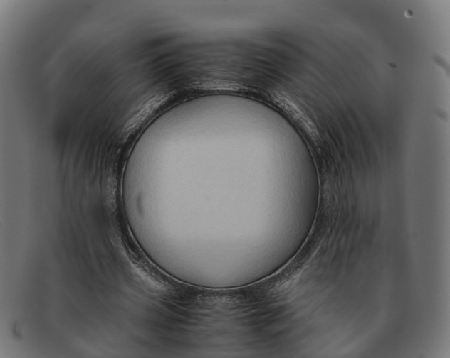 X0000091650533200709131452