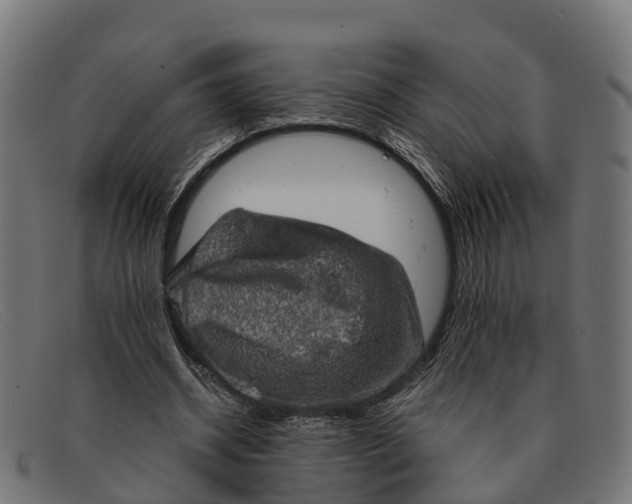 X0000091650534200709131452