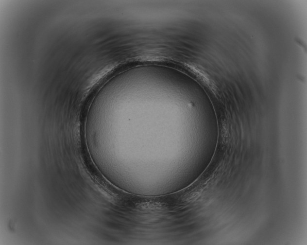 X0000091650535200709131452