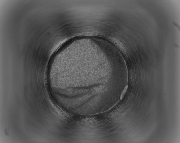 X0000091650536200709131452