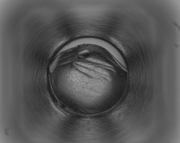 X0000091650538200709131452