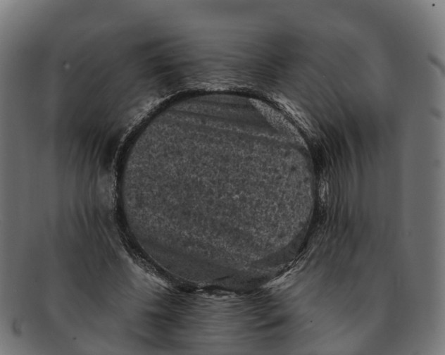 X0000091650540200709131452