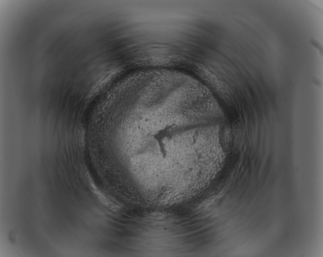 X0000091650542200709131452