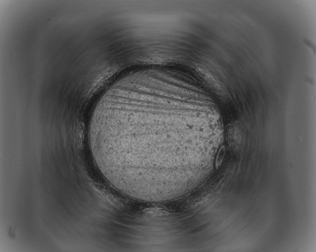 X0000091650544200709131452