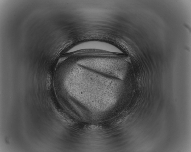 X0000091650546200709131452