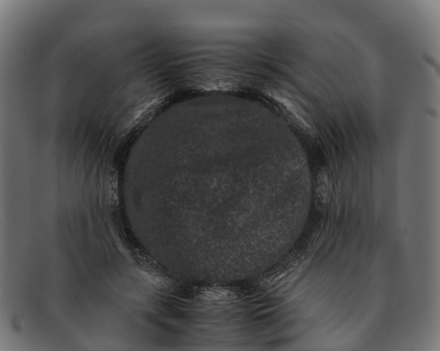 X0000091650547200709131452