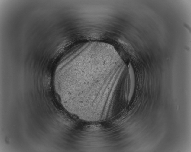 X0000091650548200709131452