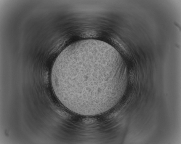 X0000091650549200709131452