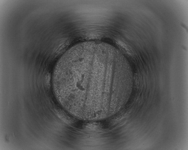 X0000091650550200709131452