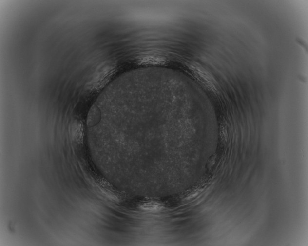 X0000091650551200709131452