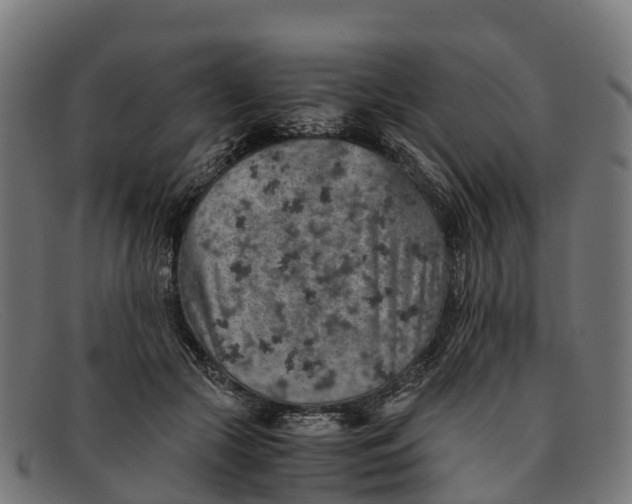 X0000091650553200709131452