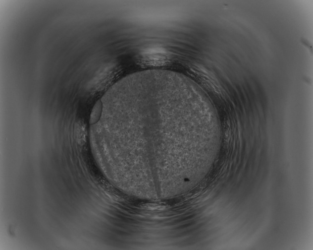 X0000091650555200709131452