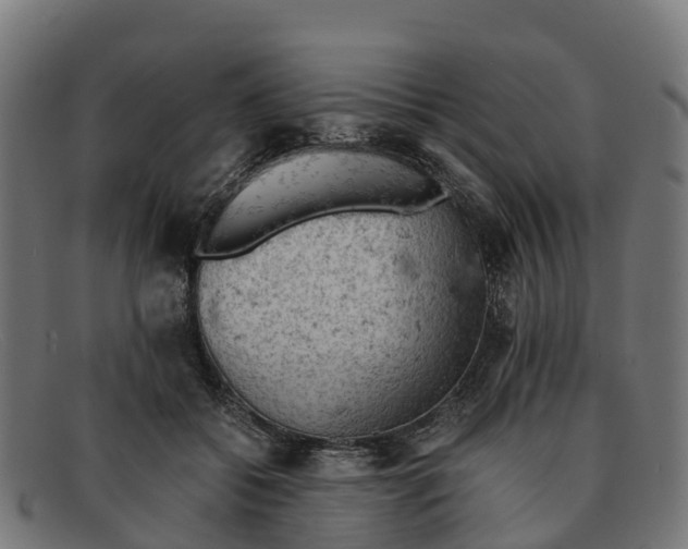 X0000091650556200709131452