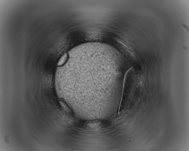 X0000091650560200709131452