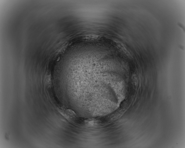 X0000091650564200709131452