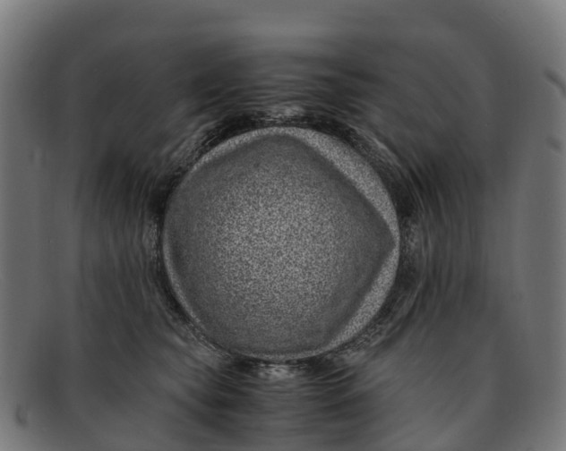 X0000091650565200709131452