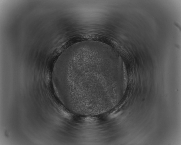 X0000091650566200709131452