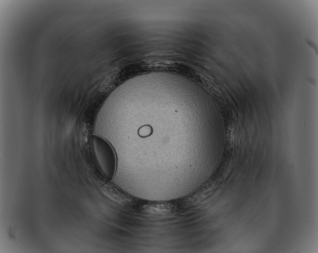 X0000091650567200709131452