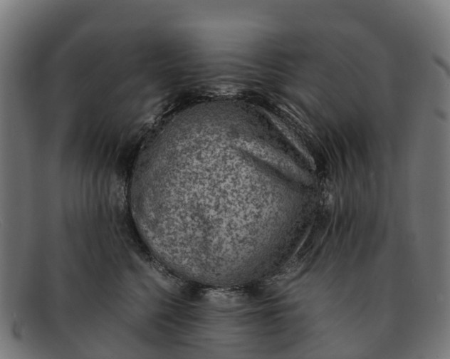 X0000091650568200709131452