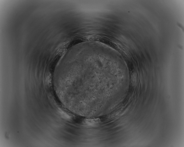 X0000091650571200709131453