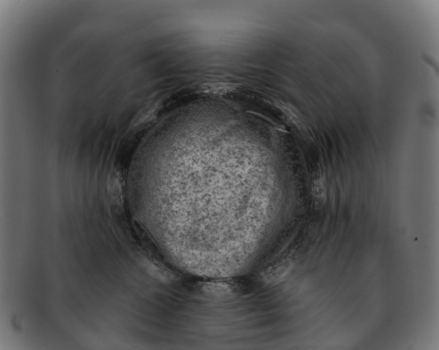 X0000091650572200709131453