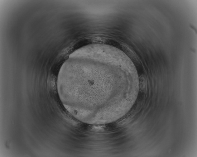 X0000091650573200709131453