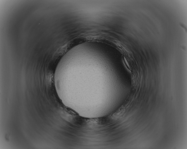 X0000091650574200709131453