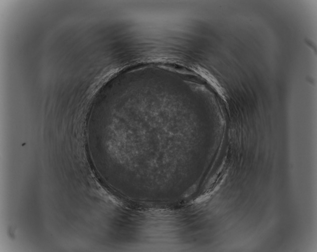 X0000091650577200709131452