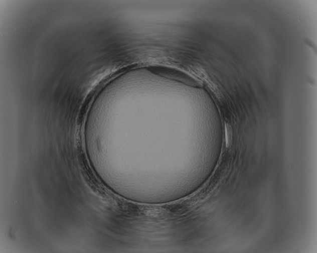 X0000091650579200709131452