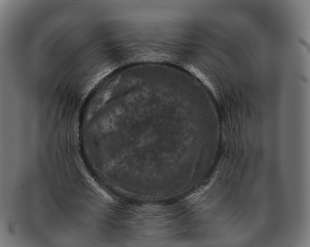 X0000091650581200709131452