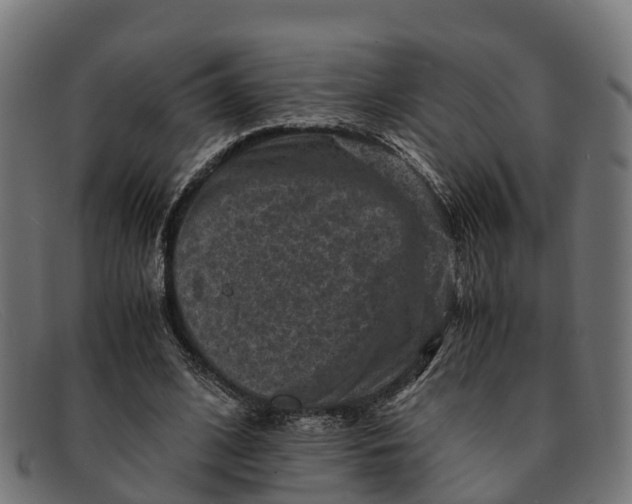 X0000091650584200709131452