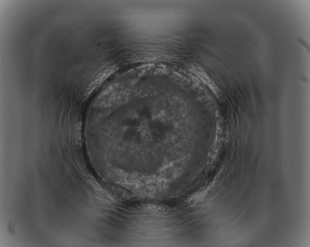 X0000091650585200709131452