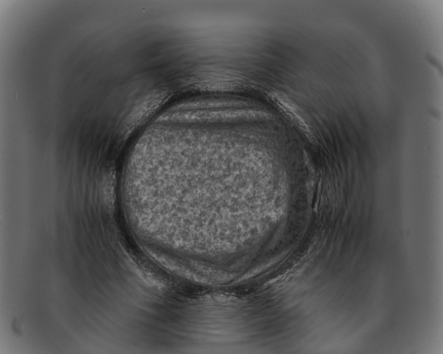 X0000091650586200709131452