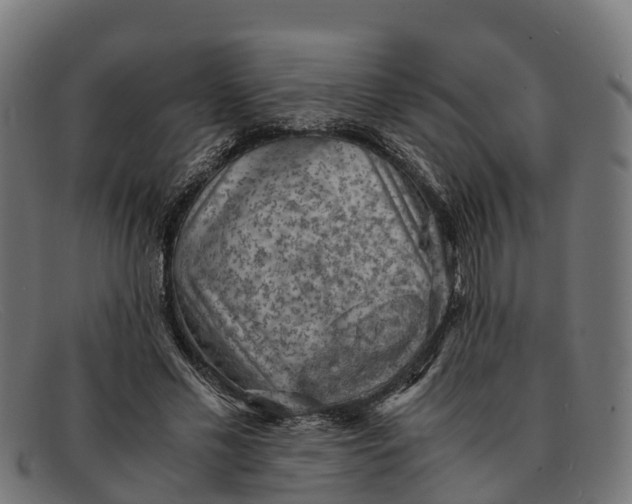 X0000091650589200709131452