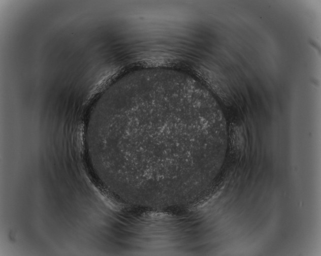 X0000091650590200709131452