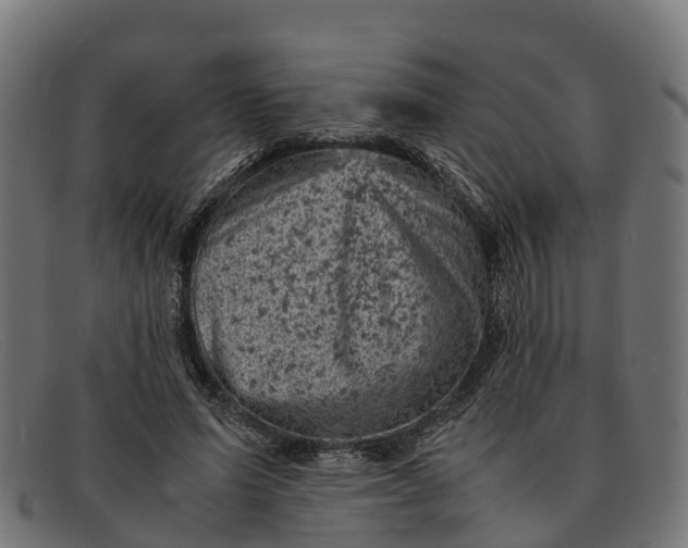 X0000091650591200709131452