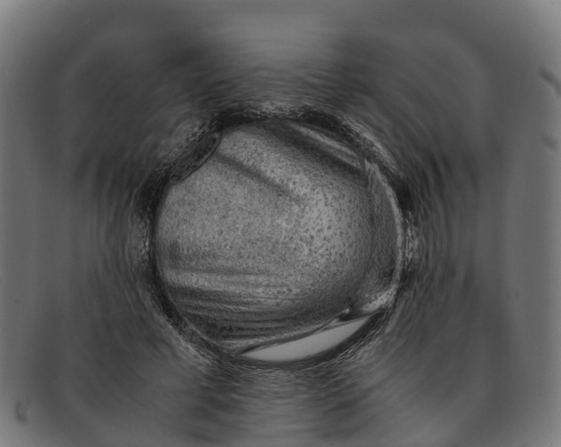 X0000091650593200709131452