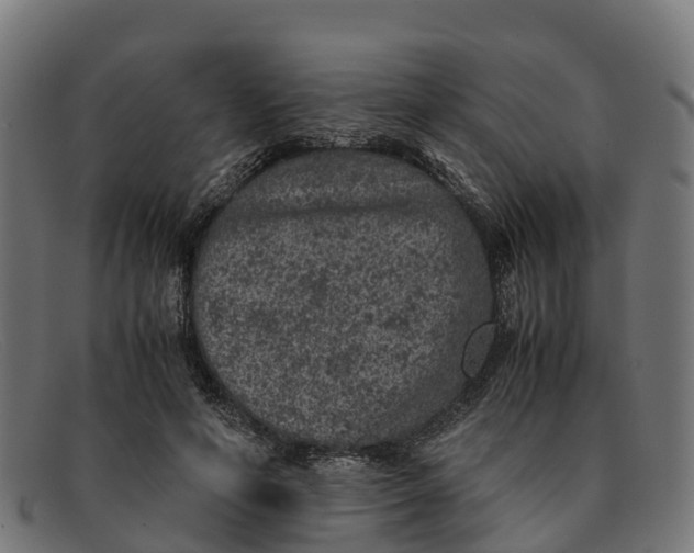 X0000091650594200709131452