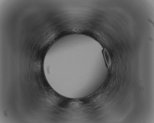 X0000091650595200709131452